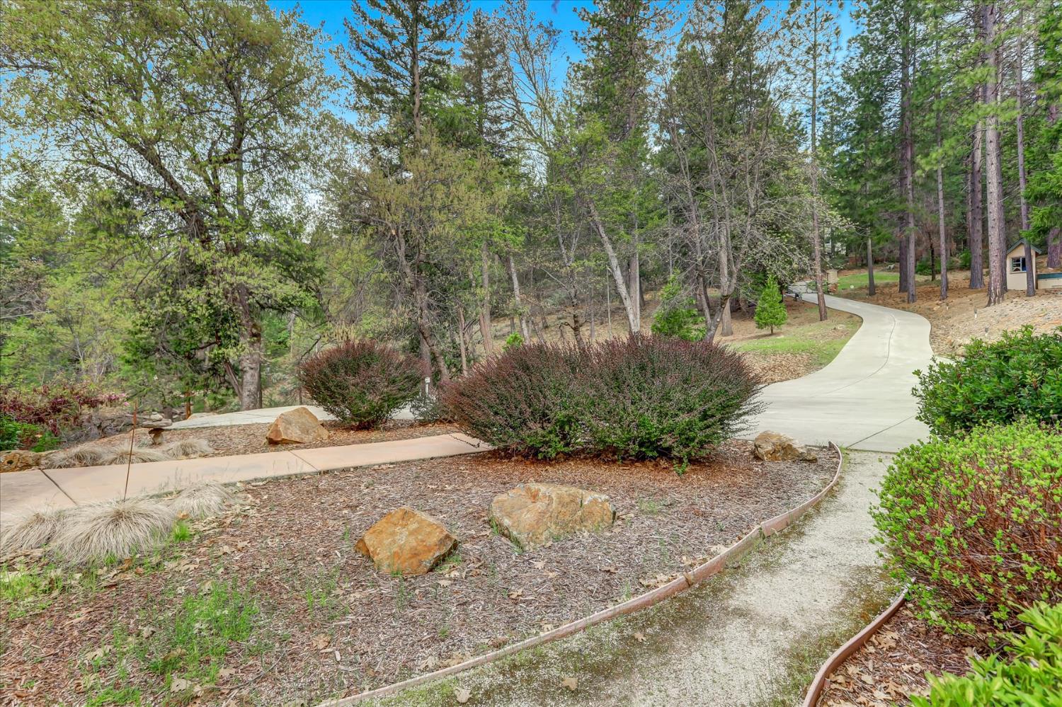 10973 Scotts Flat Dam Road Nevada City, CA 95959 - Photo 66 of 91