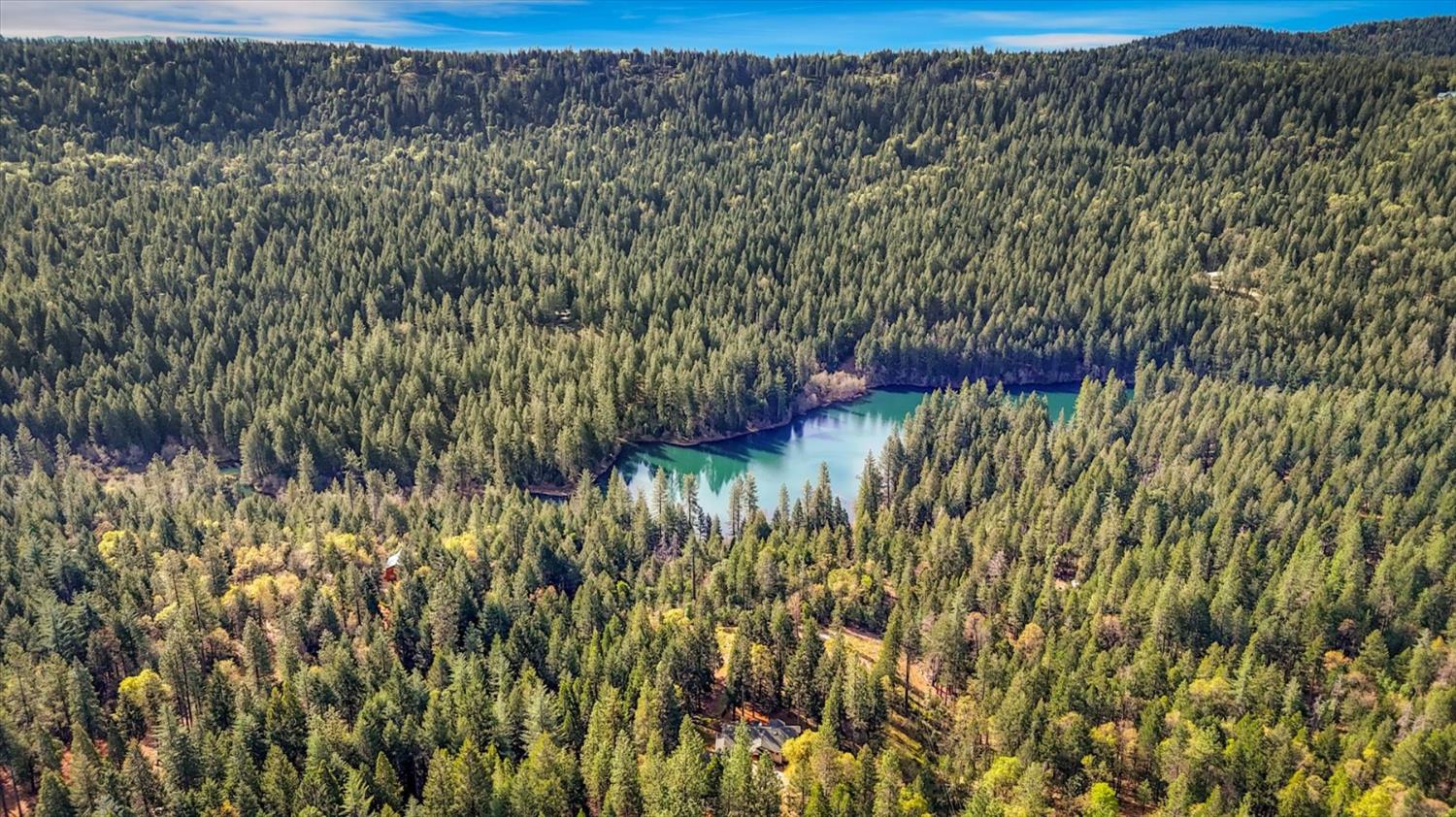10973 Scotts Flat Dam Road Nevada City, CA 95959 - Photo 69 of 91