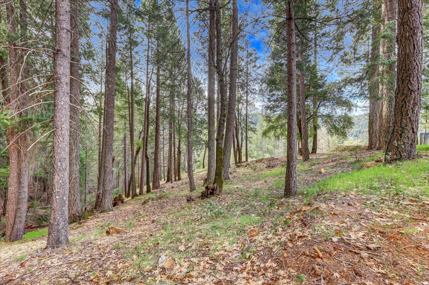 10973 Scotts Flat Dam Road Nevada City, CA 95959 - Photo 84 of 91