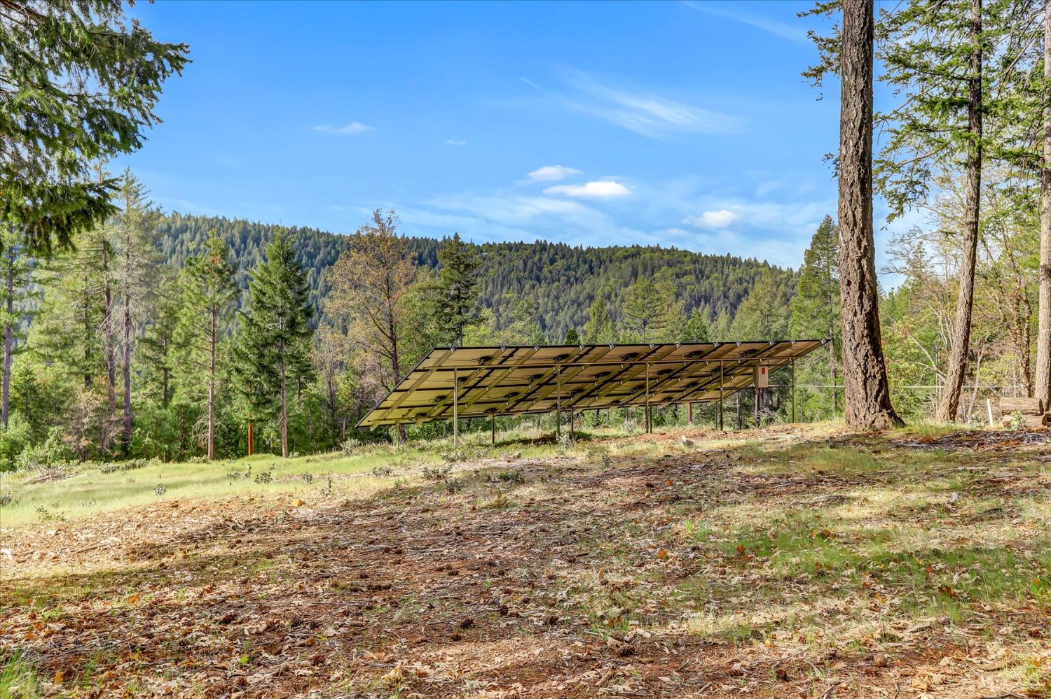 10973 Scotts Flat Dam Road Nevada City, CA 95959 - Photo 85 of 91 a view of a yard with an trees
