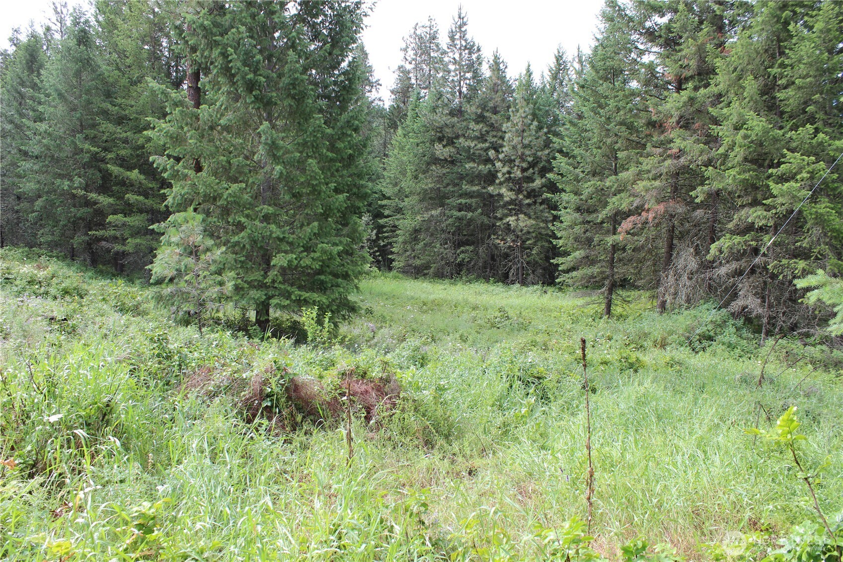 2514 Bridgeman-Rettinger Road Kettle Falls, WA 99141 - Photo 18 of 37 Gallery Image 18