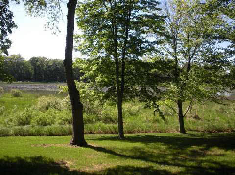12440 Pine Ridge Drive Perry, MI 48872 - Photo 18 of 23 20357022-17.JPG