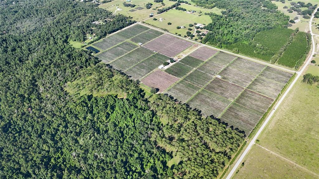 24063 Hayman Road Brooksville, FL 34602 - Photo 96 of 97
