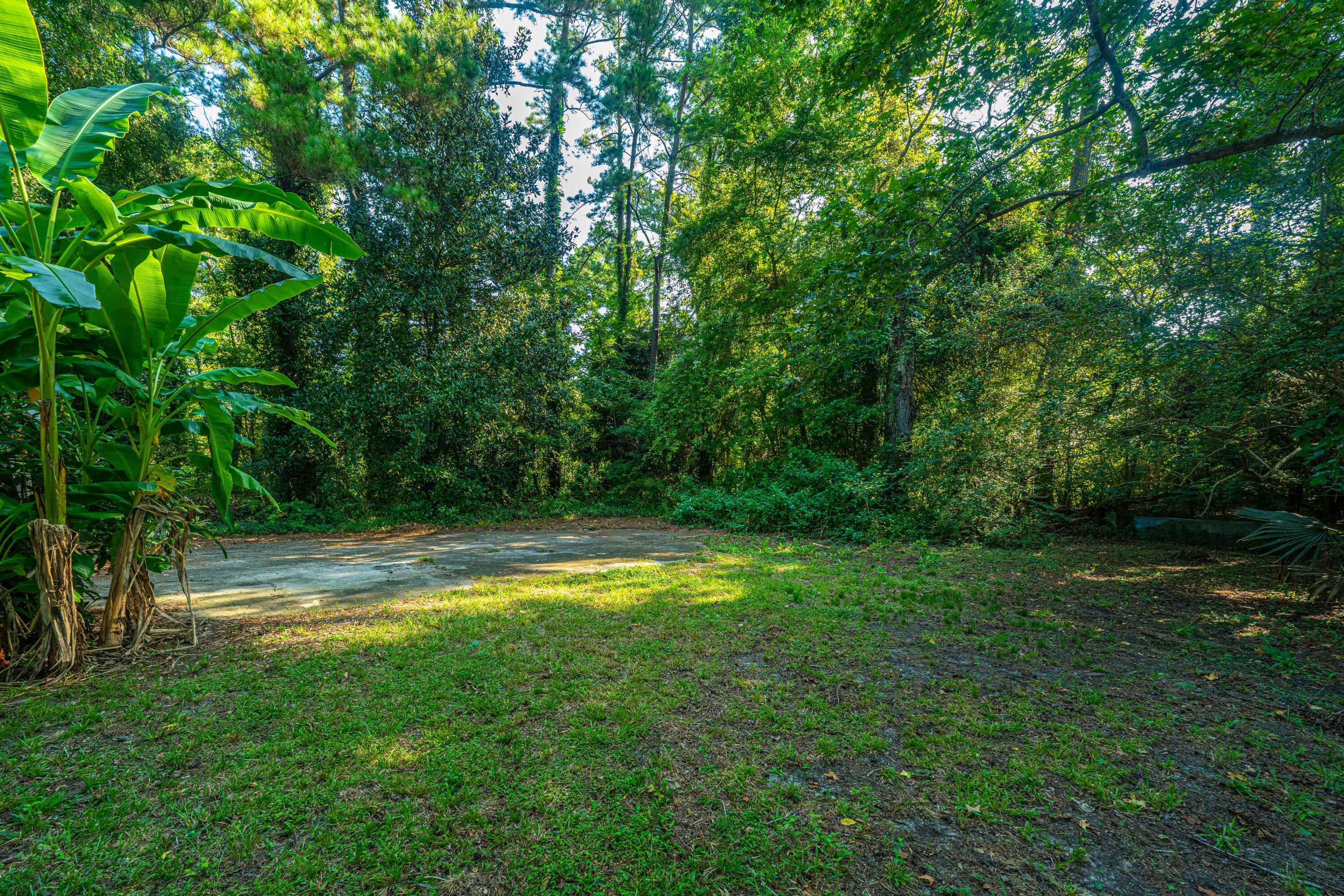 218 Triver Drive Moncks Corner, SC 29461 - Photo 36 of 37 218TriversDr036