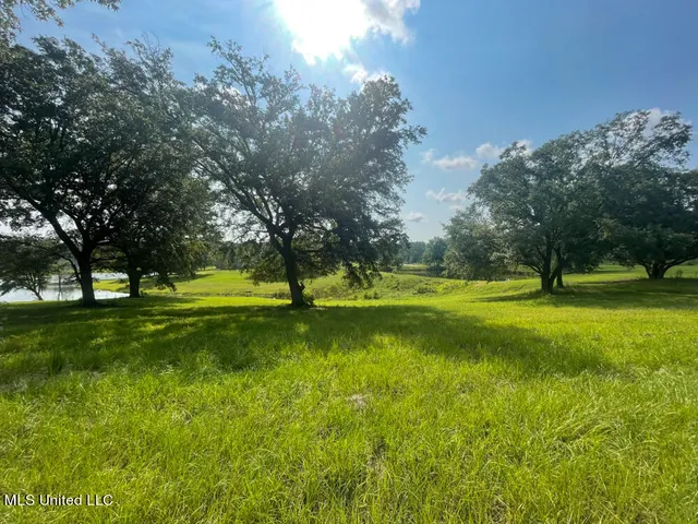 $42,036 | Lot 22 Gracies Way, Lucedale, MS 39452