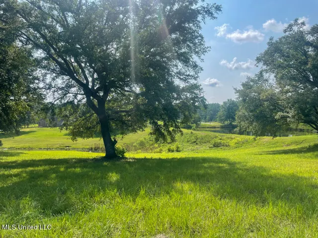 $42,036 | Lot 22 Gracies Way, Lucedale, MS 39452