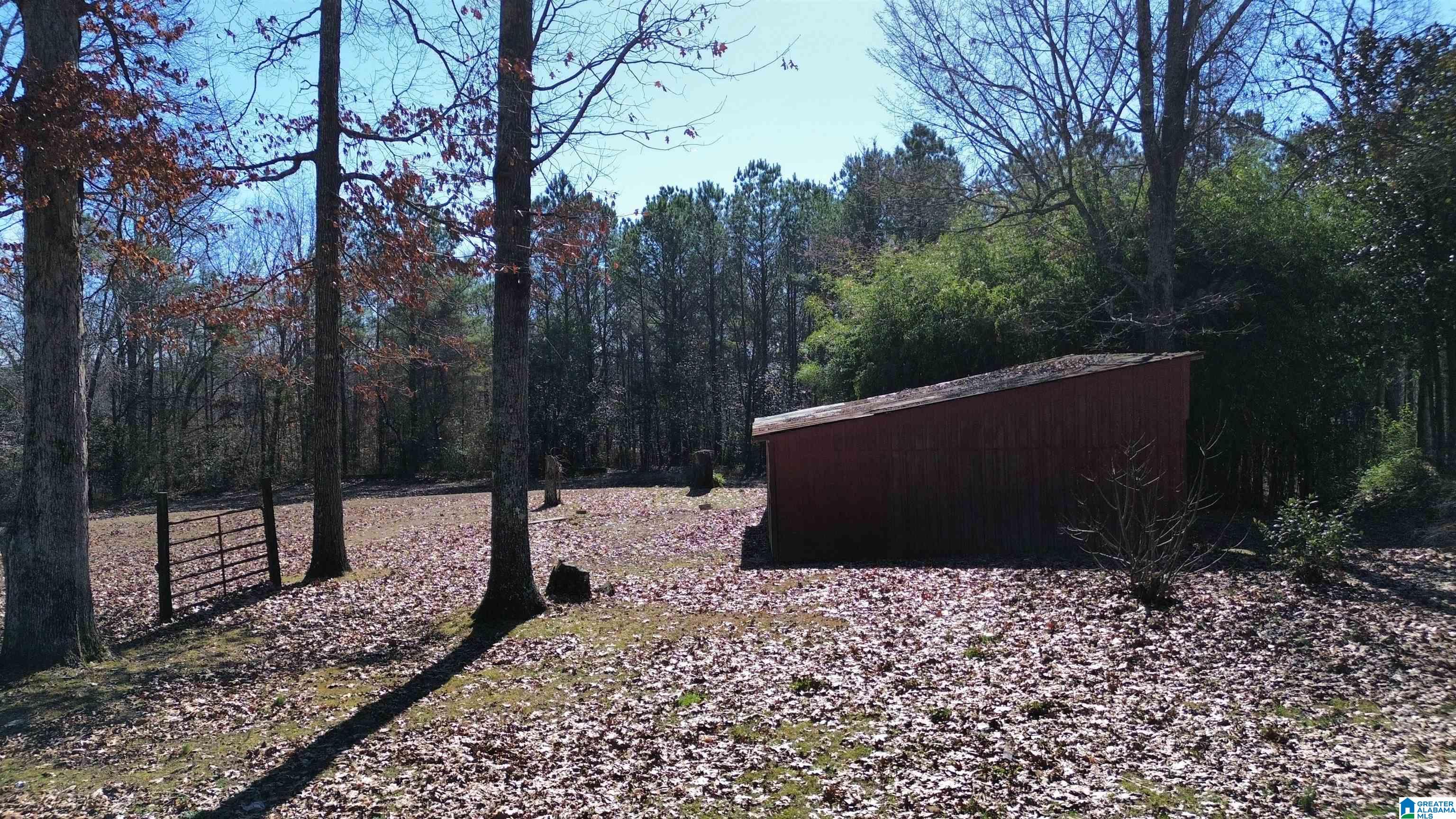 9516 Newell Hill Road Warrior, AL 35180 - Photo 17 of 50 Gallery Image 17