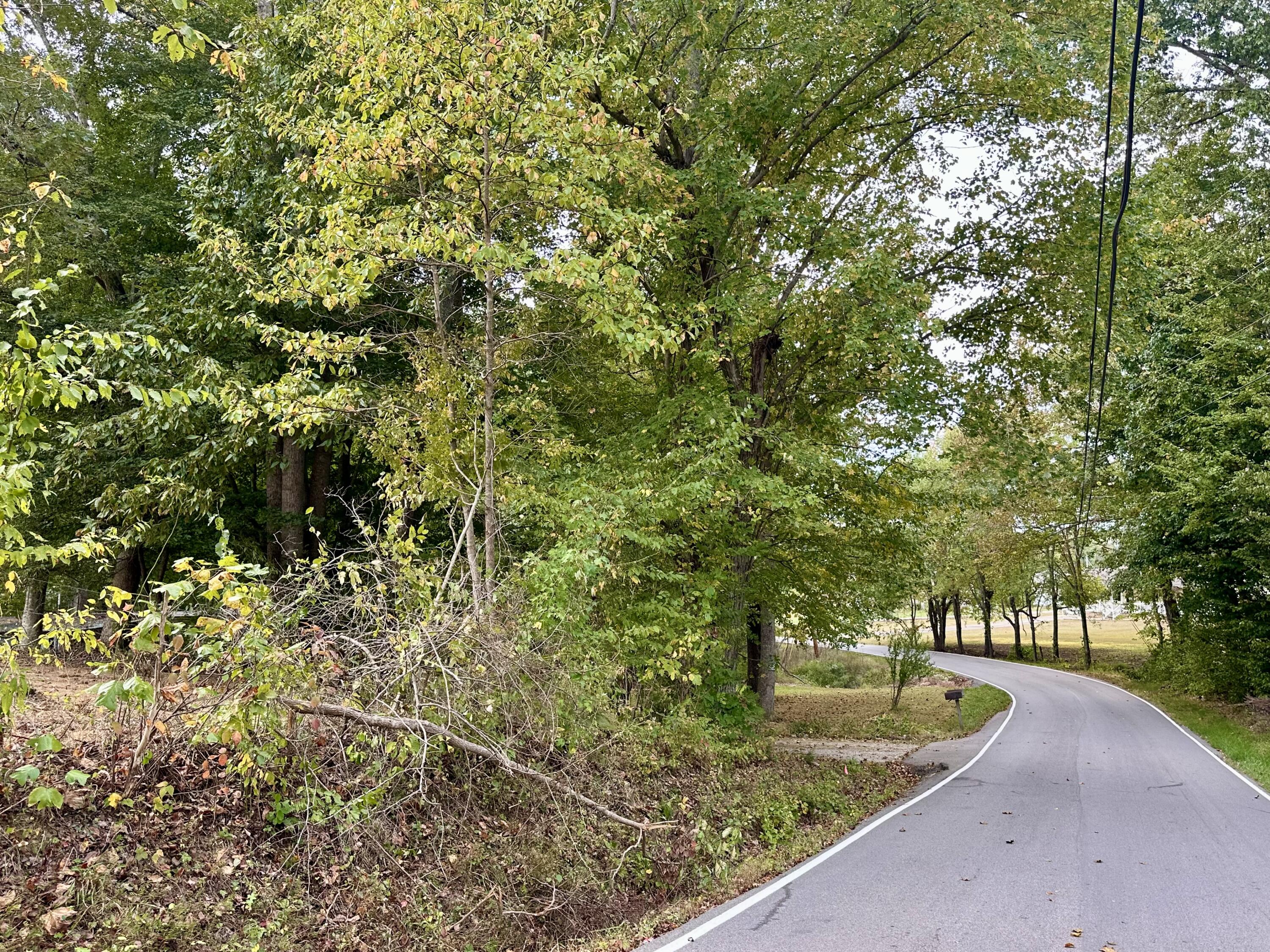 1073 Old Way Road London, KY 40741 - Photo 25 of 35 BEING SURVEYED