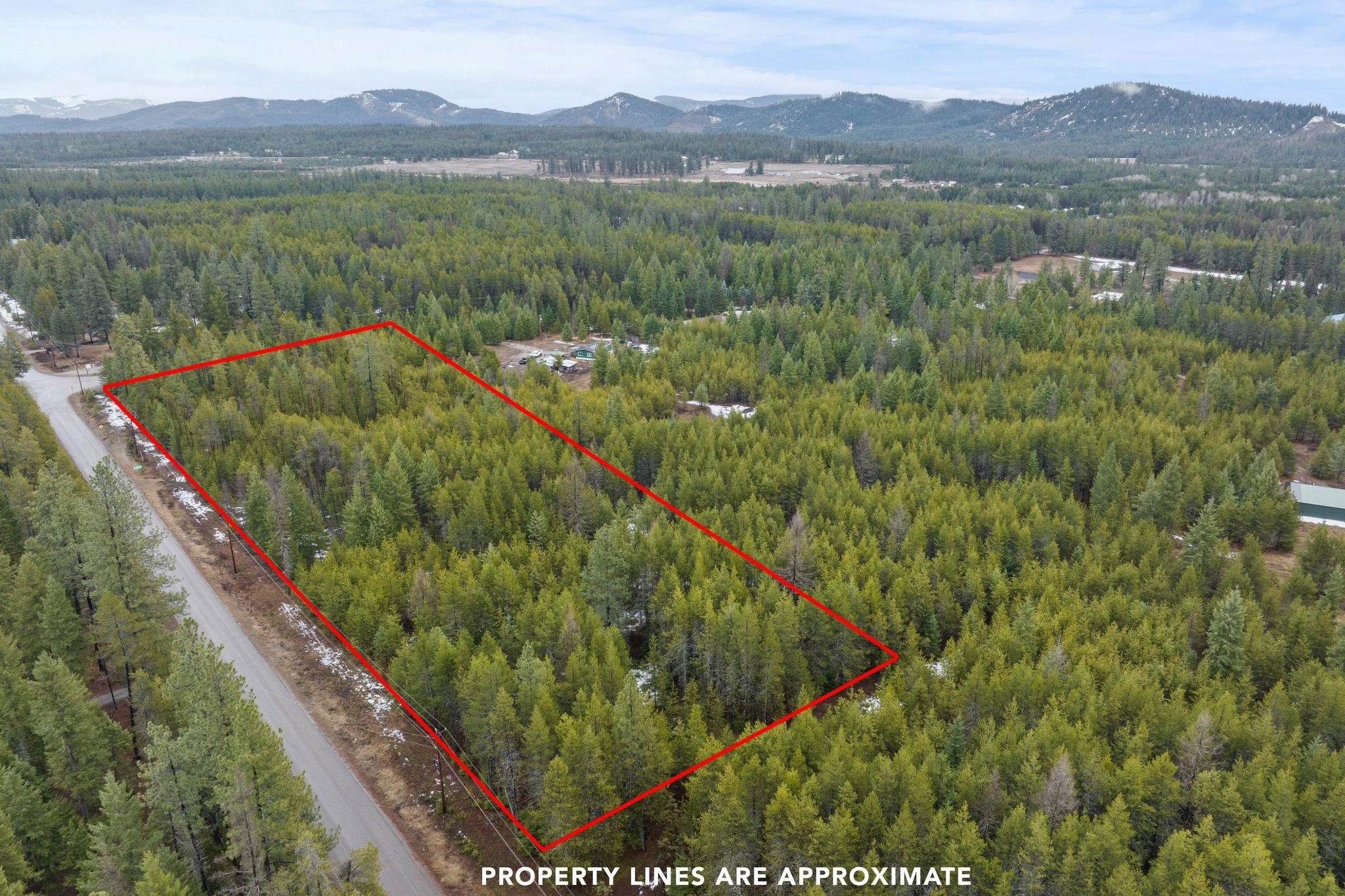 1255 North Shore Diamond Lake Road Newport, WA 99156 - Photo 2 of 13