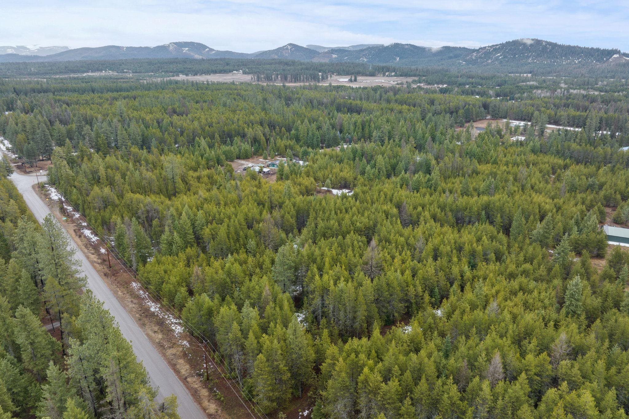 1255 North Shore Diamond Lake Road Newport, WA 99156 - Photo 3 of 13