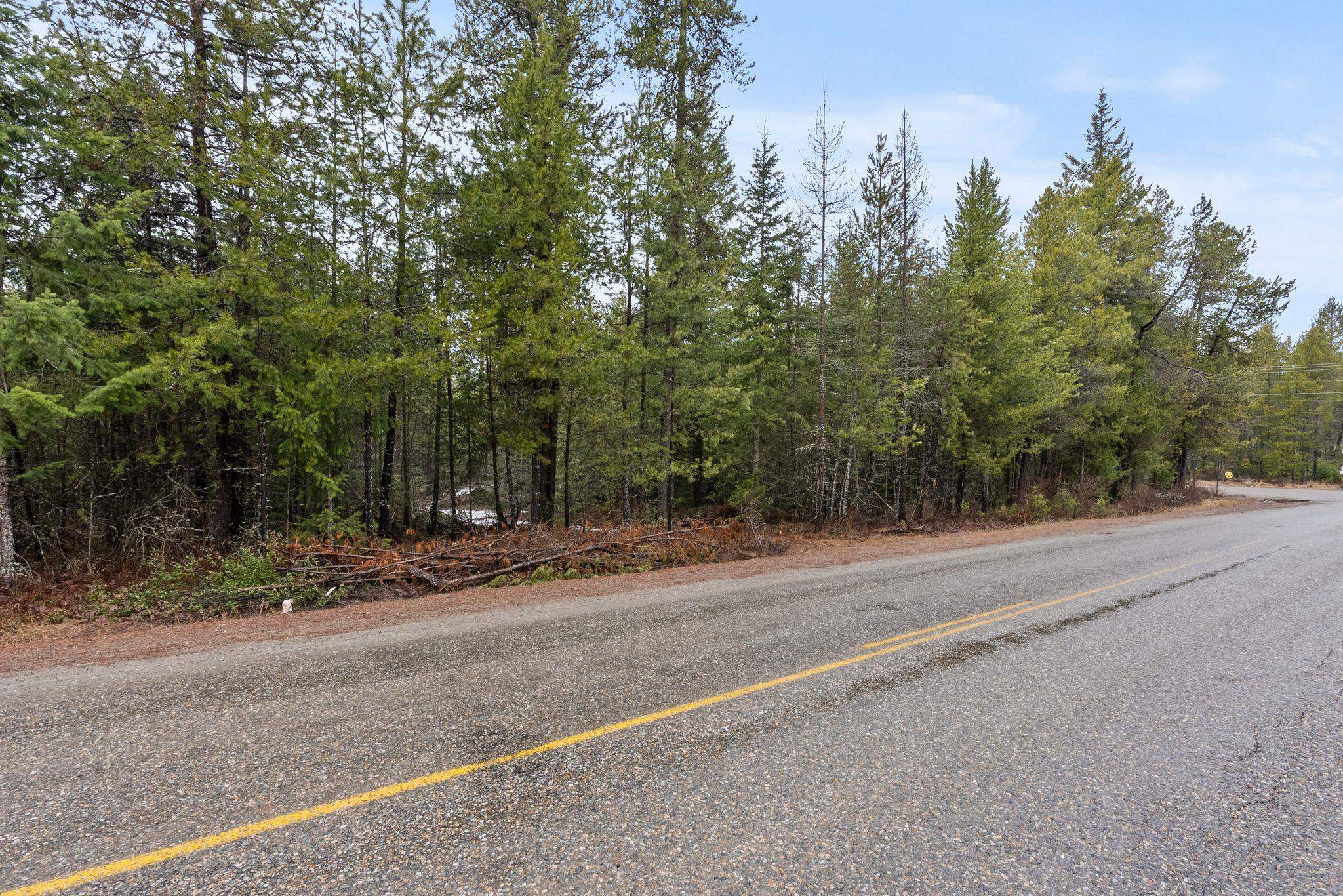 1255 North Shore Diamond Lake Road Newport, WA 99156 - Photo 4 of 13