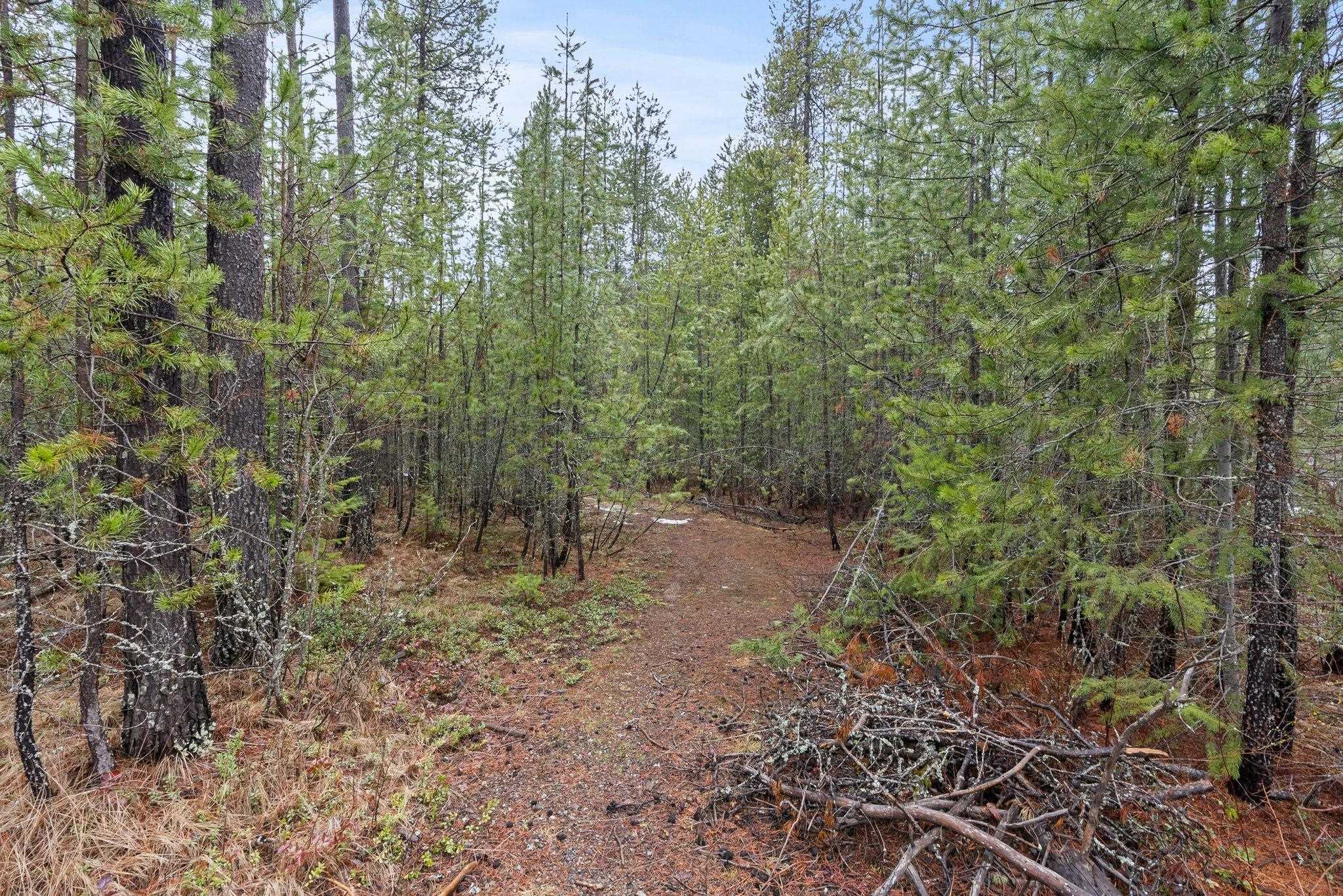 1255 North Shore Diamond Lake Road Newport, WA 99156 - Photo 9 of 13