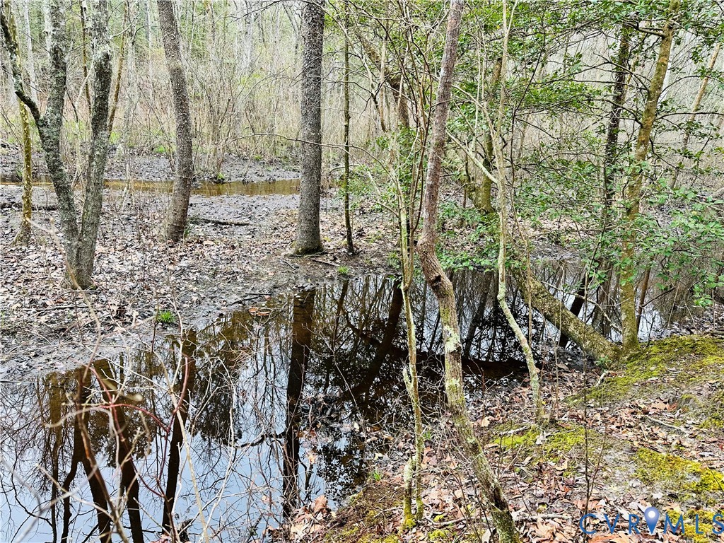 0 Pampa Road Gloucester, VA 23061 - Photo 11 of 13