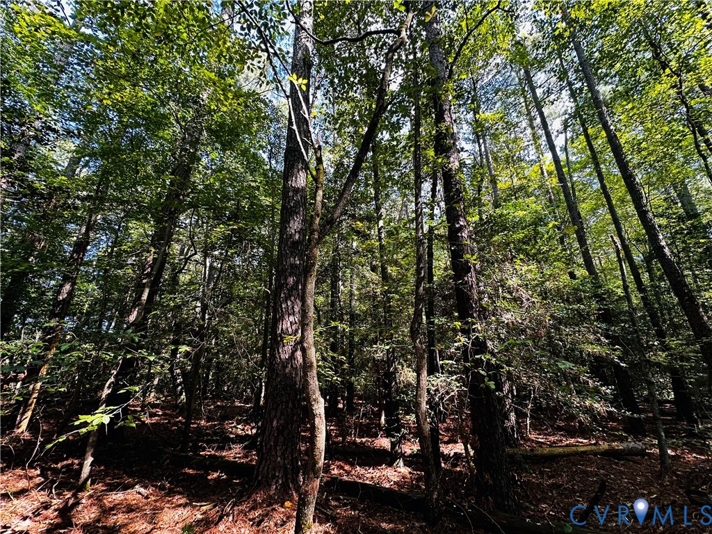 0 Pampa Road Gloucester, VA 23061 - Photo 2 of 13