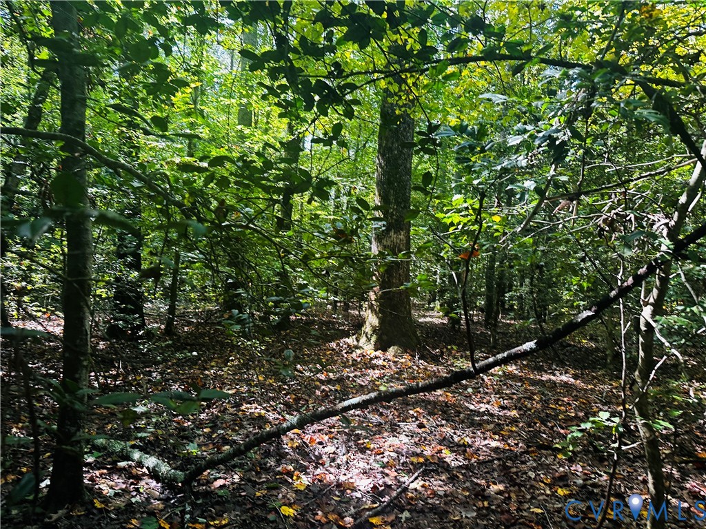 0 Pampa Road Gloucester, VA 23061 - Photo 5 of 13