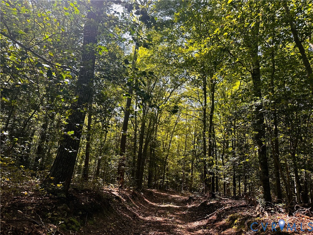 0 Pampa Road Gloucester, VA 23061 - Photo 6 of 13