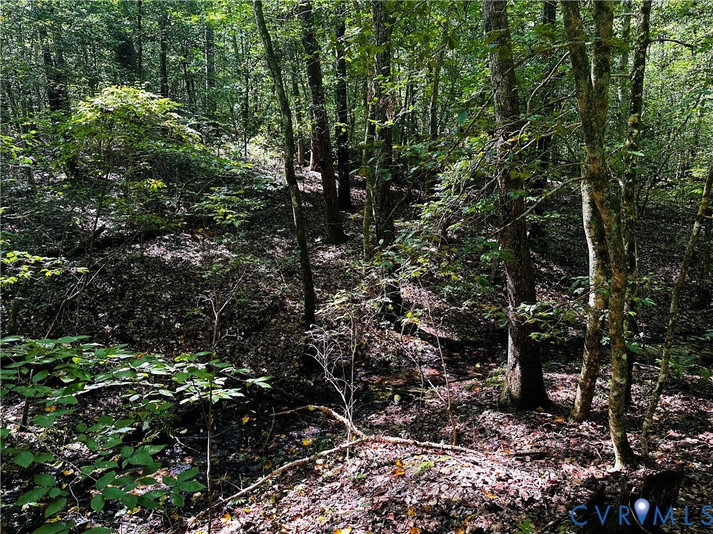 0 Pampa Road Gloucester, VA 23061 - Photo 8 of 13