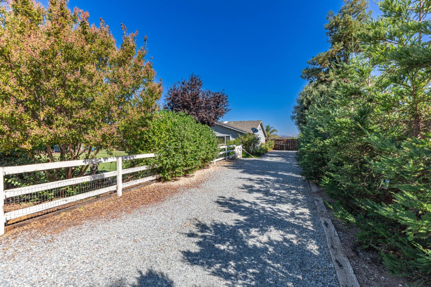 150 Jonquil Lane Hollister, CA 95023 - Photo 5 of 61 a view of a yard with wooden fence