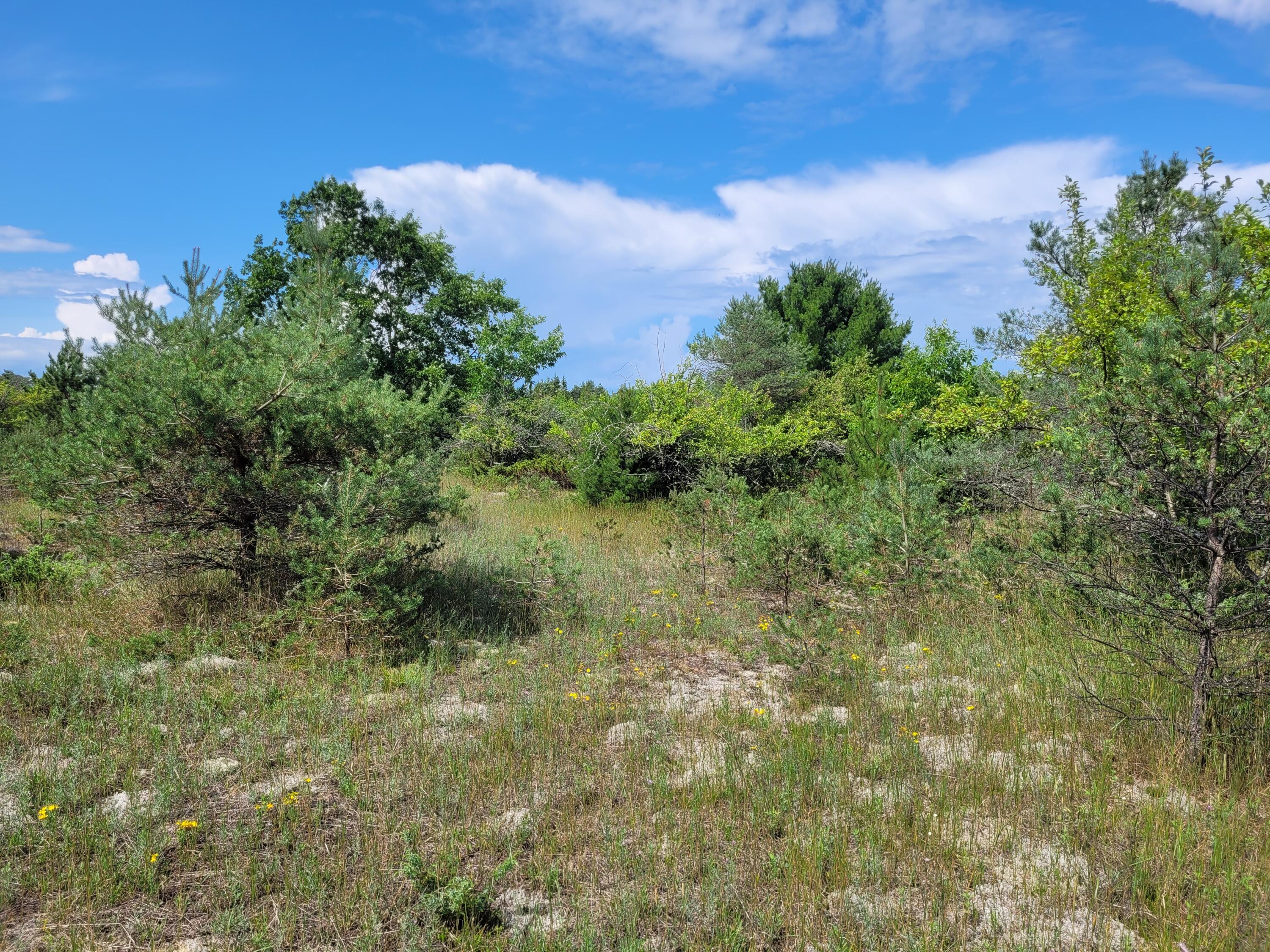 Bonter Court Cheboygan, MI 49721 - Photo 9 of 17 Gallery Image 9