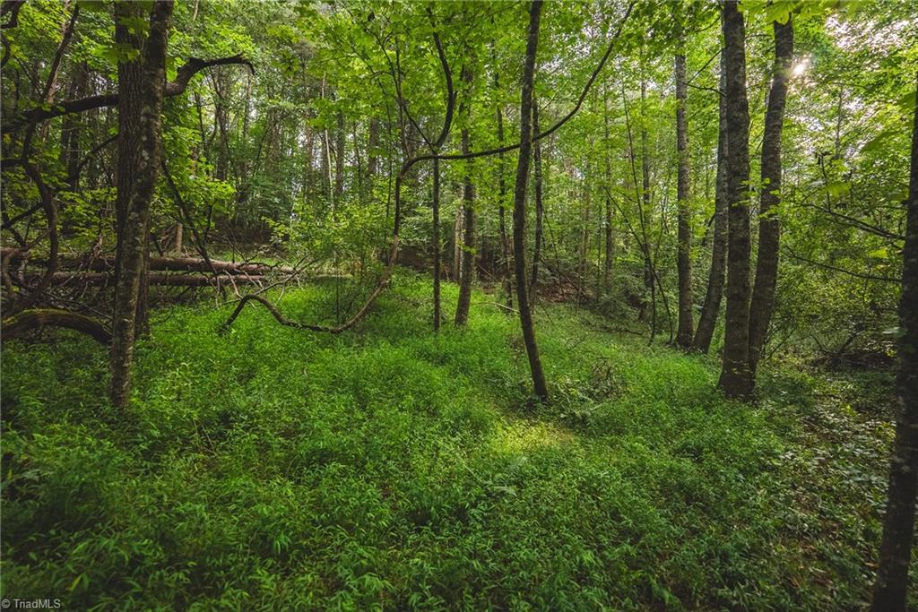 Tbd Johnson Ridge Road Elkin, NC 28621 - Photo 15 of 18