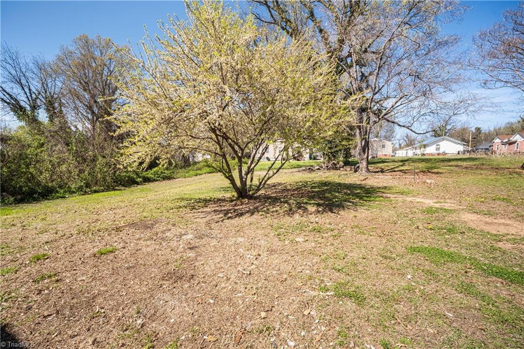 528 Roy Avenue High Point, NC 27260 - Photo 5 of 27