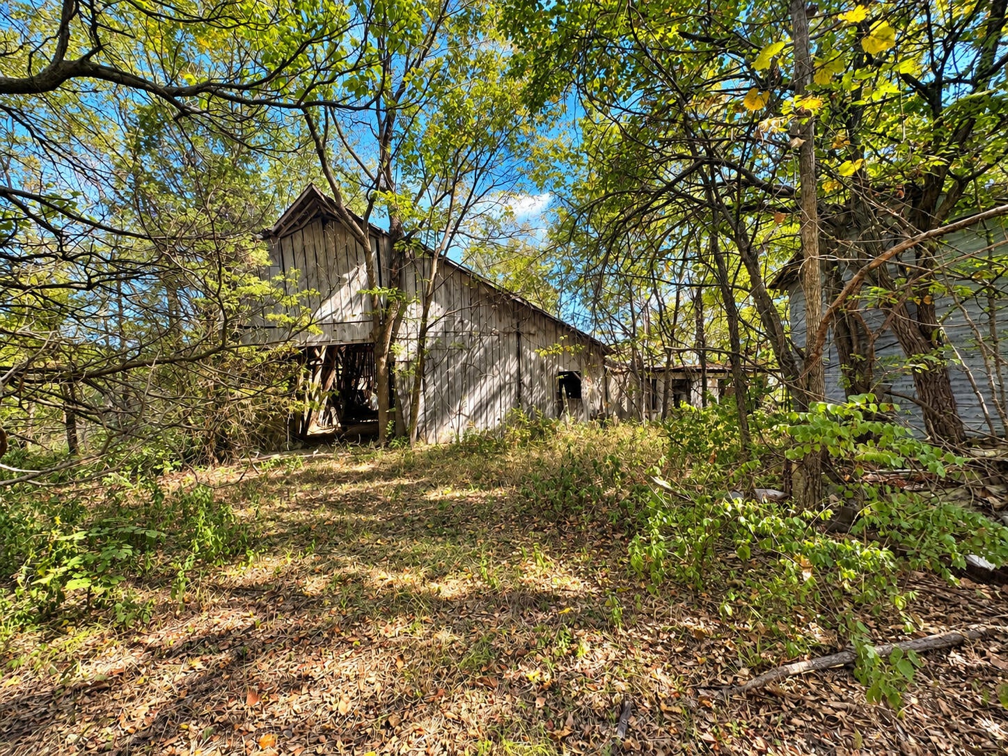 3735 State Rd AA Holts Summit, MO 65043 - Photo 50 of 57 Gallery Image 50