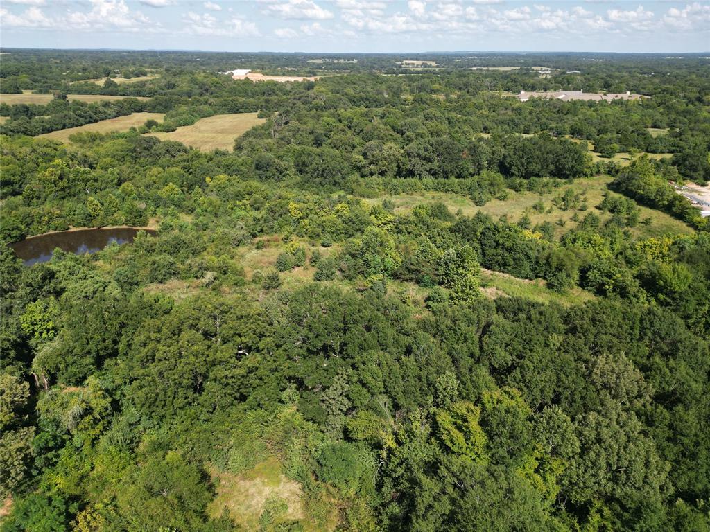 Lot 15 Central Park Athens, TX 75751 - Photo 35 of 37 a view of a city with lush green forest