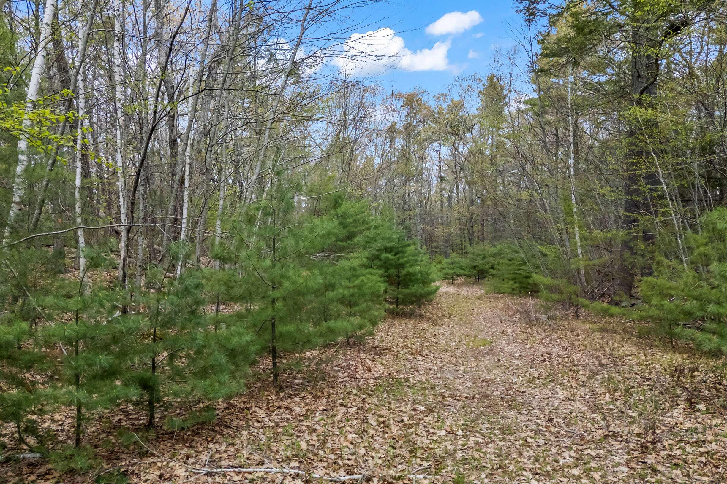 22 Batchelder Road Ogunquit, ME 03907 - Photo 5 of 10 Building Lot