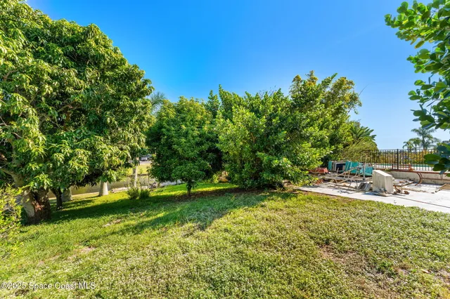 a view of a yard with a table and some trees