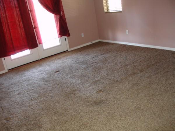 15276 East Ocotillo Road Gilbert, AZ 85298 - Photo 5 of 15 Master Suite