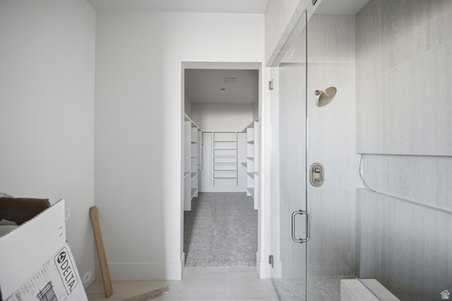 3011 East Rimrunner Drive, Unit 302 St. George, UT 84790 - Photo 24 of 45 Bathroom with a walk in closet, a stall shower, and light carpet