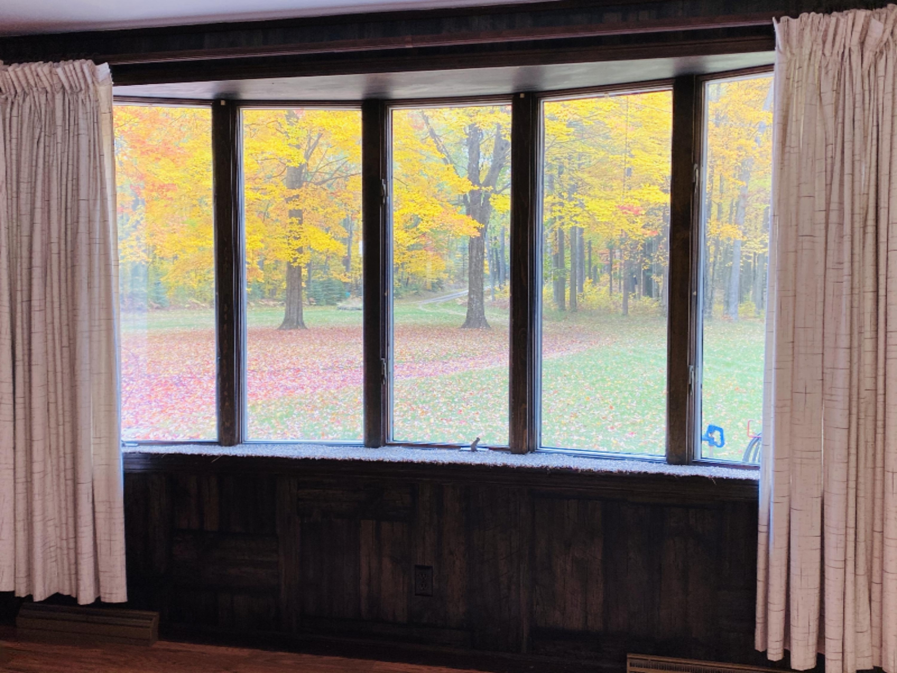 2088 Carty Road Manistee, MI 49660 - Photo 14 of 42 Bay window with a view!