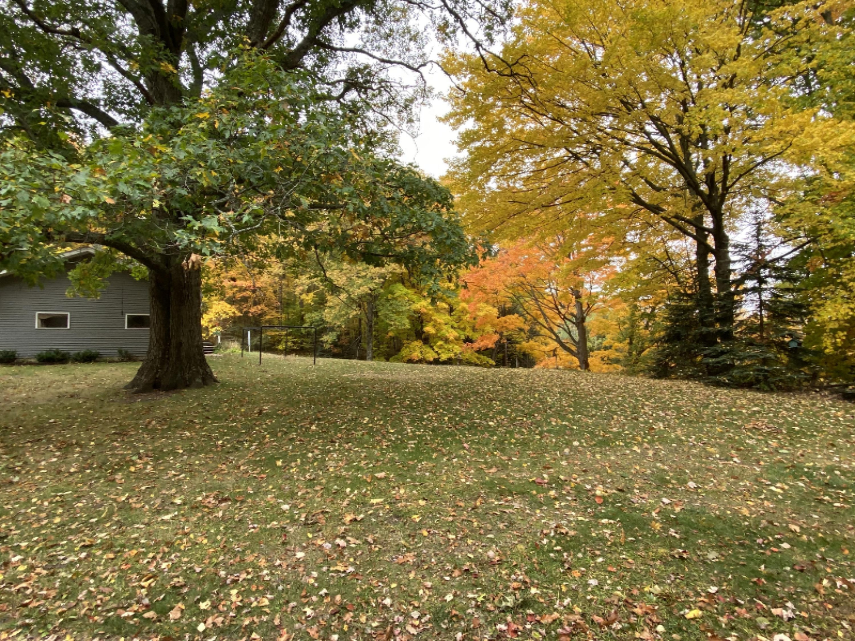 2088 Carty Road Manistee, MI 49660 - Photo 40 of 42 Over 19 acres to enjoy