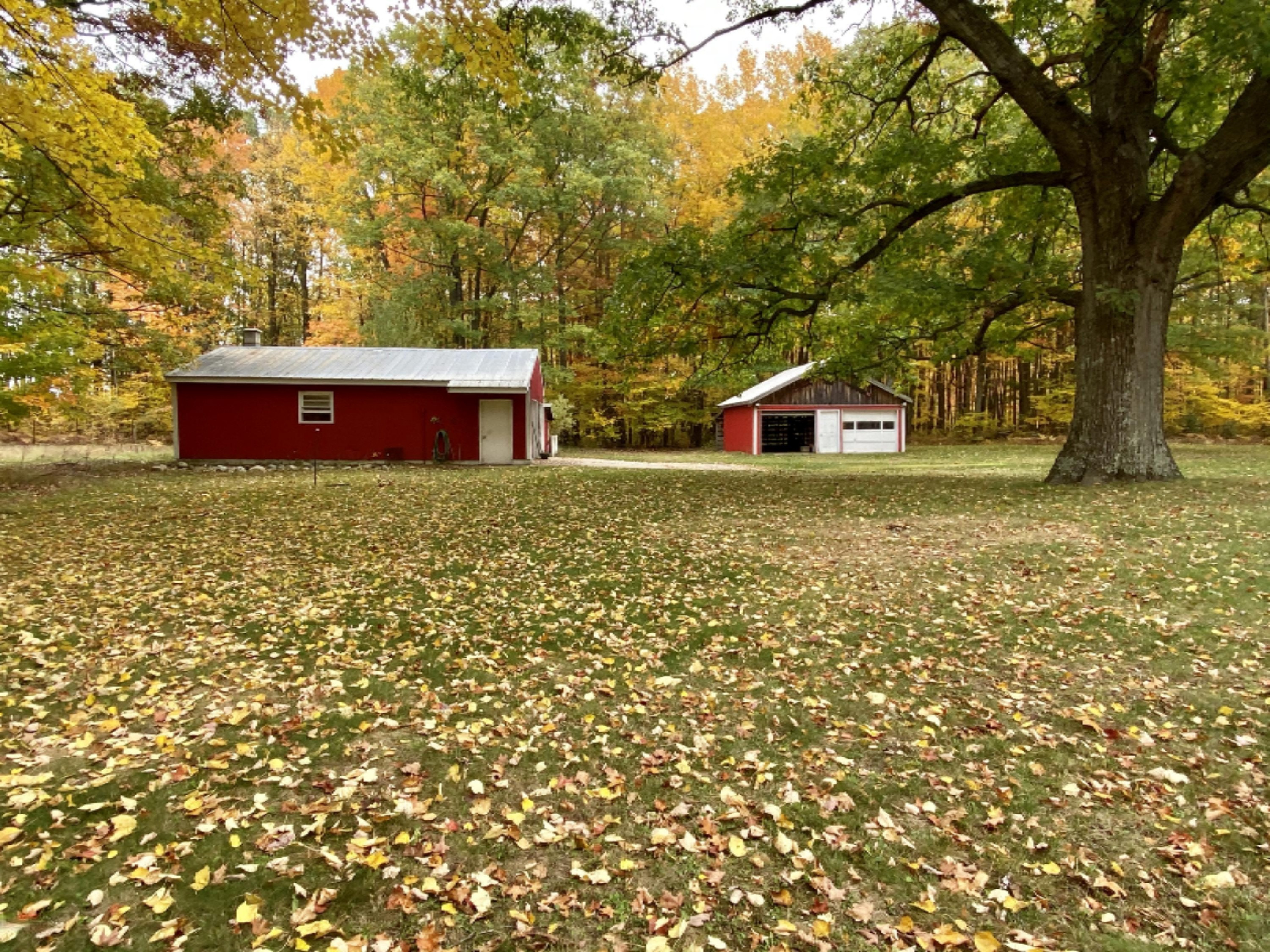 2088 Carty Road Manistee, MI 49660 - Photo 6 of 42 So much room to play!