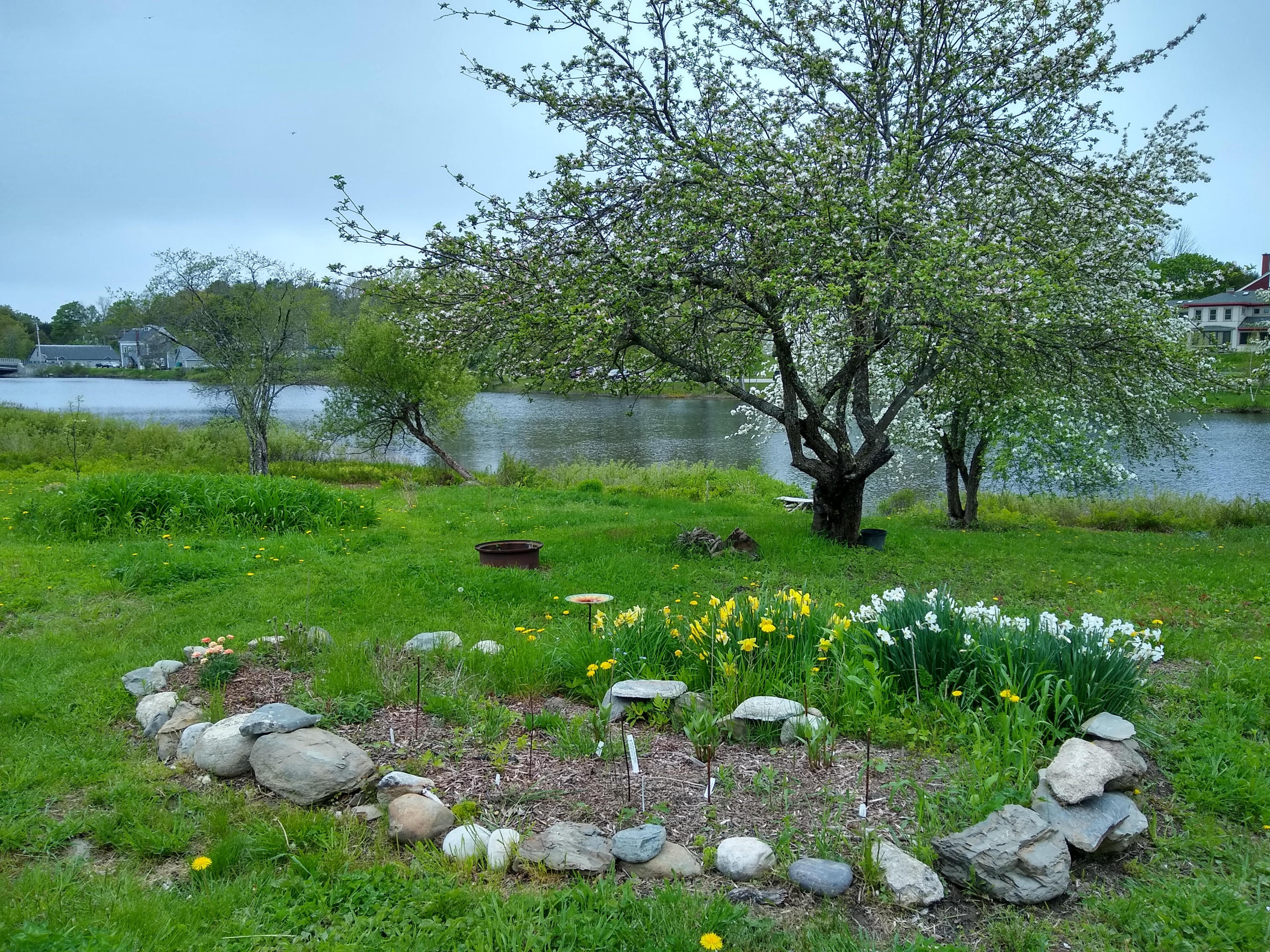 32 Lower Falls Road Orland, ME 04472 - Photo 10 of 22 Trees
