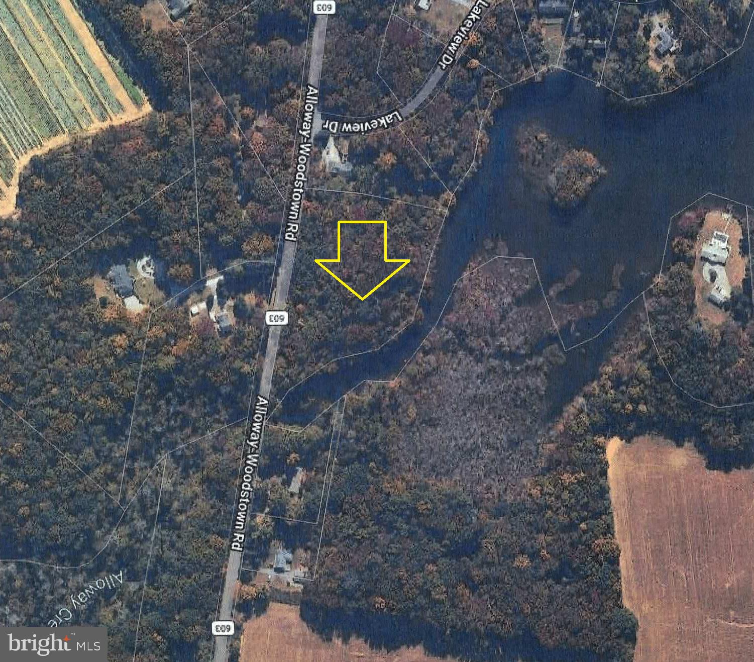 L36 Woodstown Road Woodstown, NJ 08098 - Photo 1 of 2 a aerial view of a house with a yard