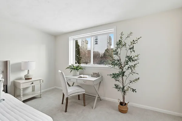 a view of a room with a potted plant and floor to ceiling window