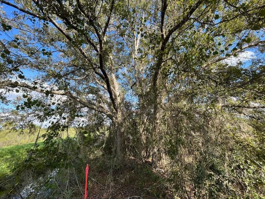 19938 Northwest 278th St  