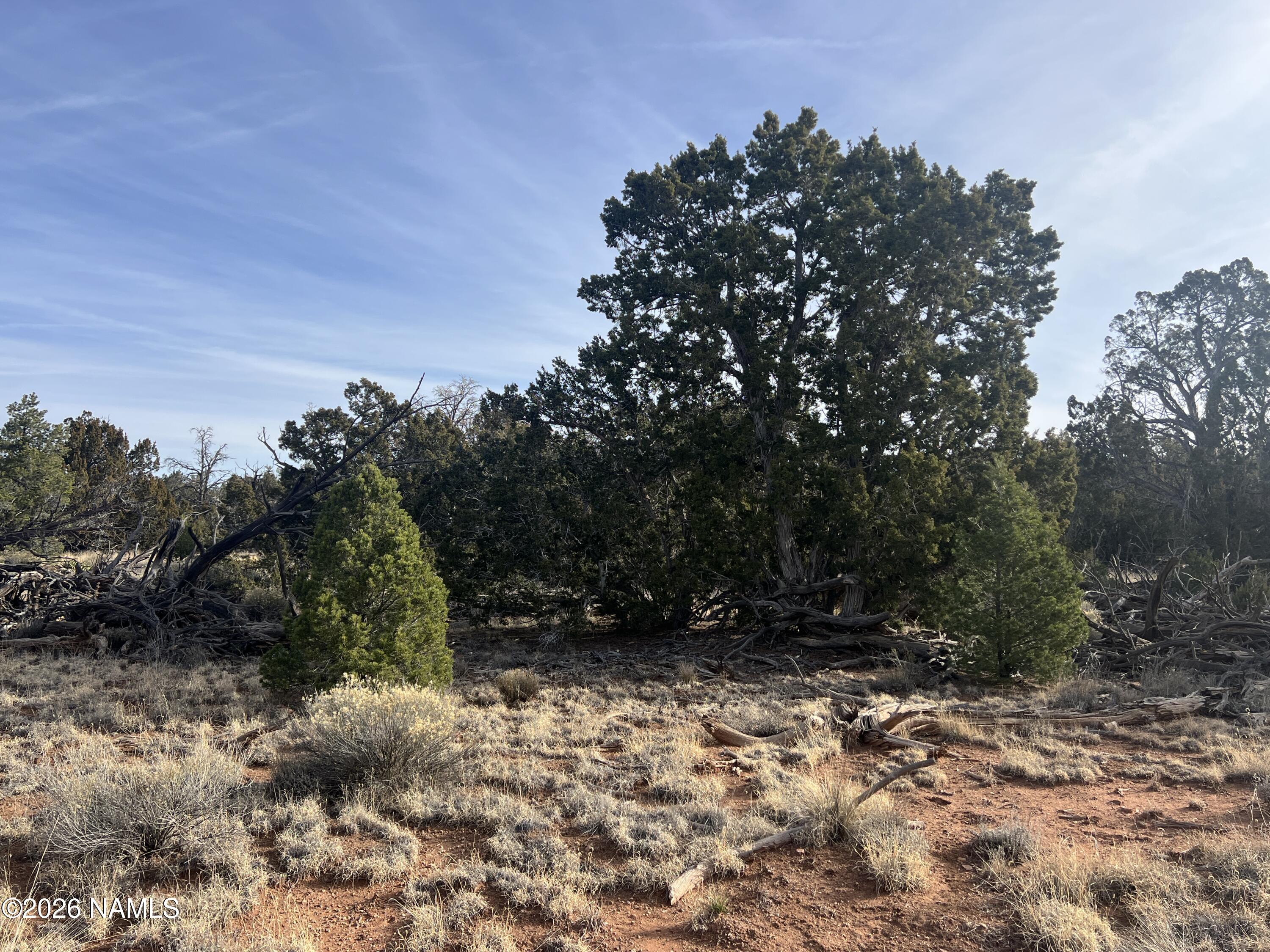 4814 East Woodland Ranch Road Williams, AZ 86046 - Photo 5 of 6 a view of outdoor space and yard