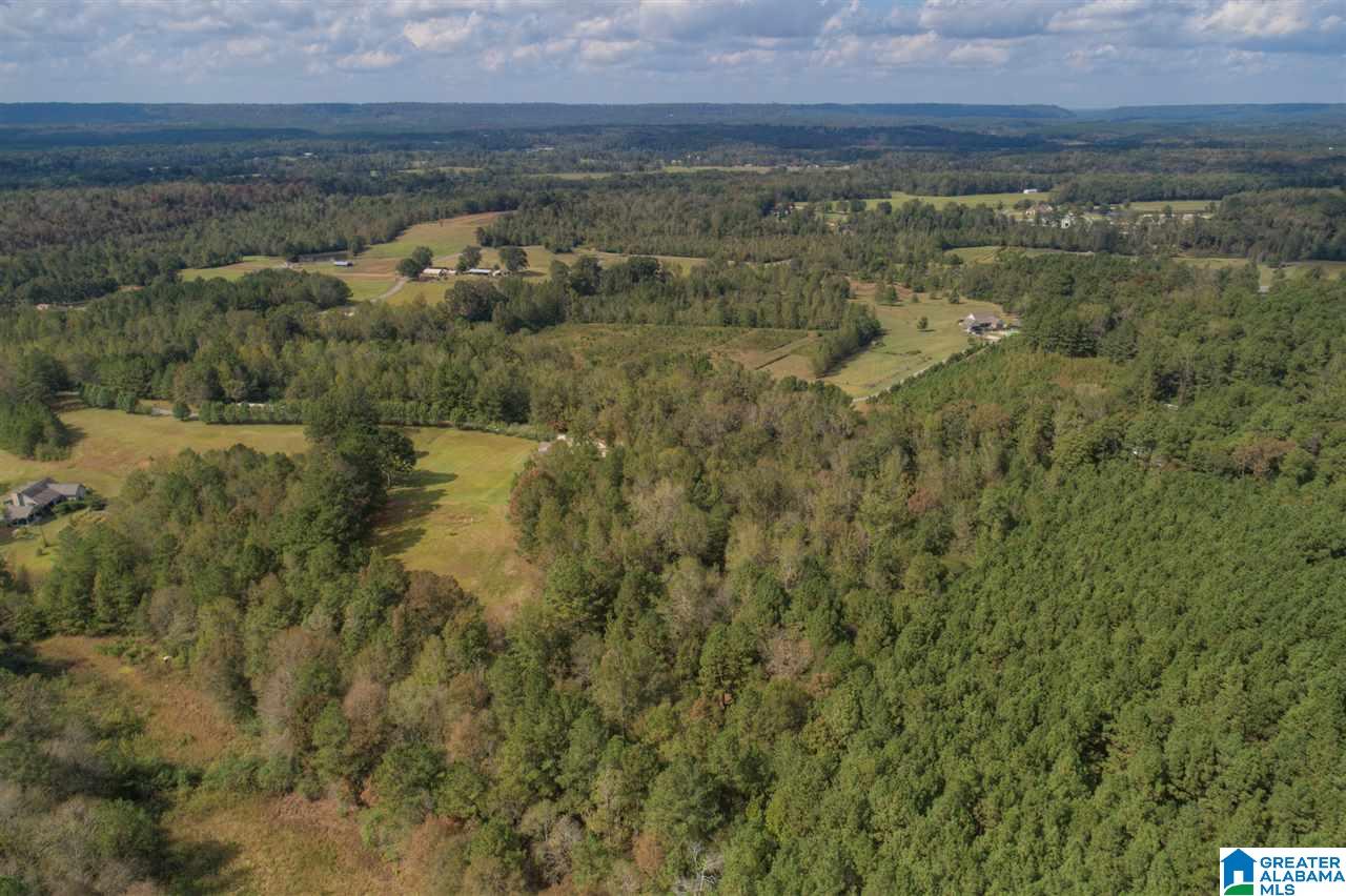 330 Conelia Lane Hayden, AL 35079 - Photo 35 of 38