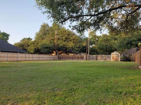 a view of a park with large trees