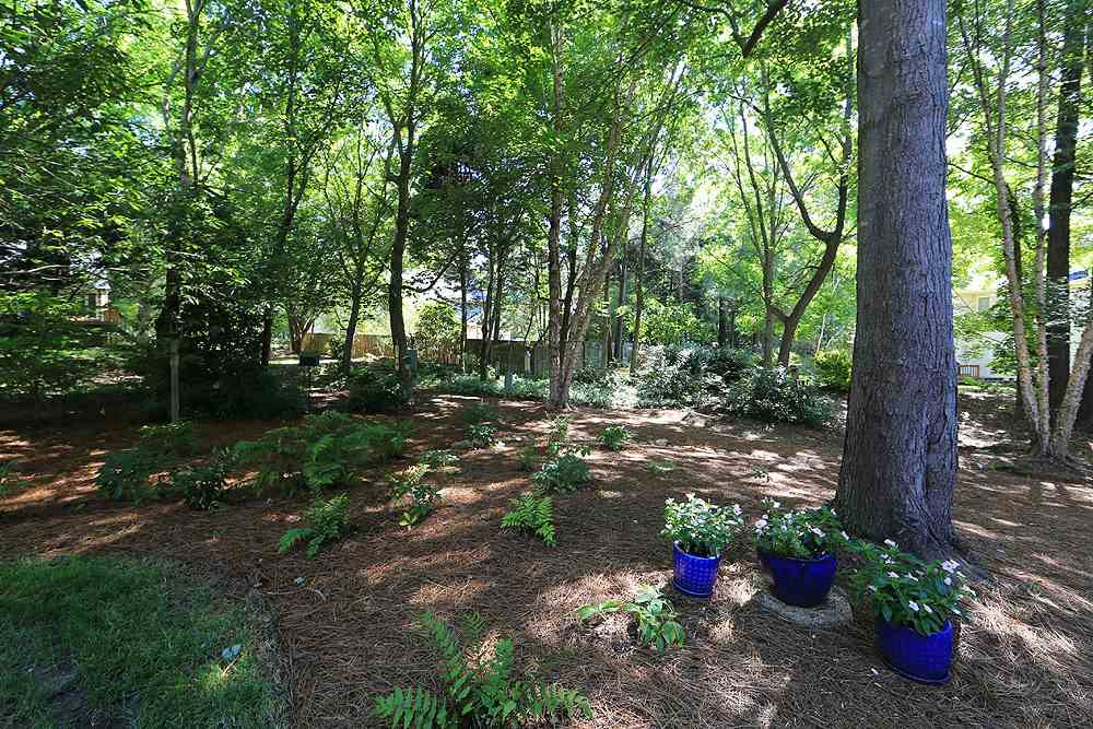 2516 Wertherson Lane Raleigh, NC 27613 - Photo 21 of 25 yard