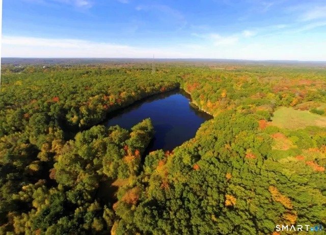 a view of city and ocean