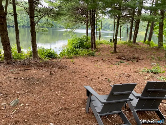 a view of a backyard with plants and lake