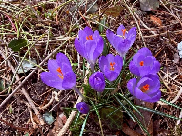 $650,000 | 67 Stonehenge Road, South Kingstown, RI 02881