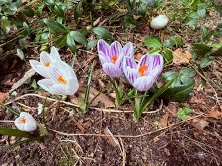 $650,000 | 67 Stonehenge Road, South Kingstown, RI 02881