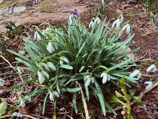 67 Stonehenge Road South Kingstown, RI 02881 - Photo 36 of 37