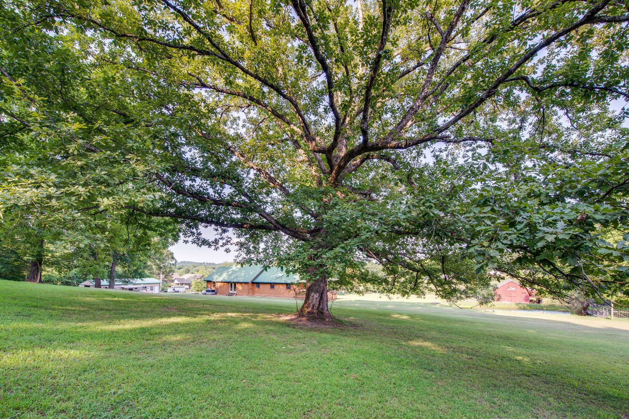 1946 Mann Road Lebanon, TN 37087 - Photo 44 of 50 a big yard with lots of green space and trees