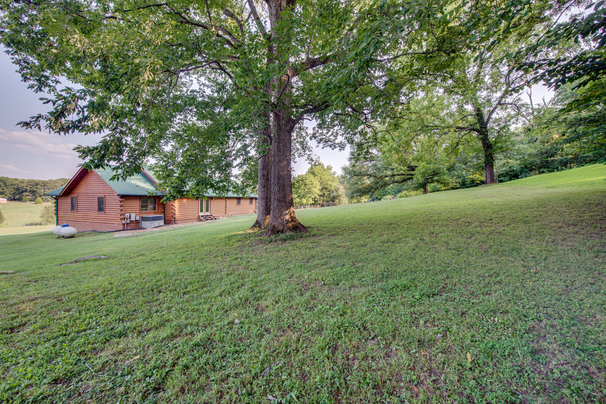 1946 Mann Road Lebanon, TN 37087 - Photo 47 of 50 a view of a tree in front of a house