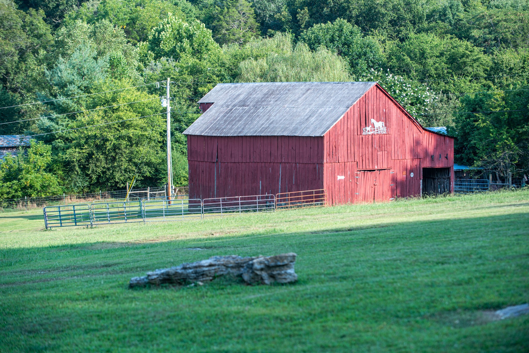 1946 Mann Road Lebanon, TN 37087 - Photo 50 of 50 a view of backyard of house with green space